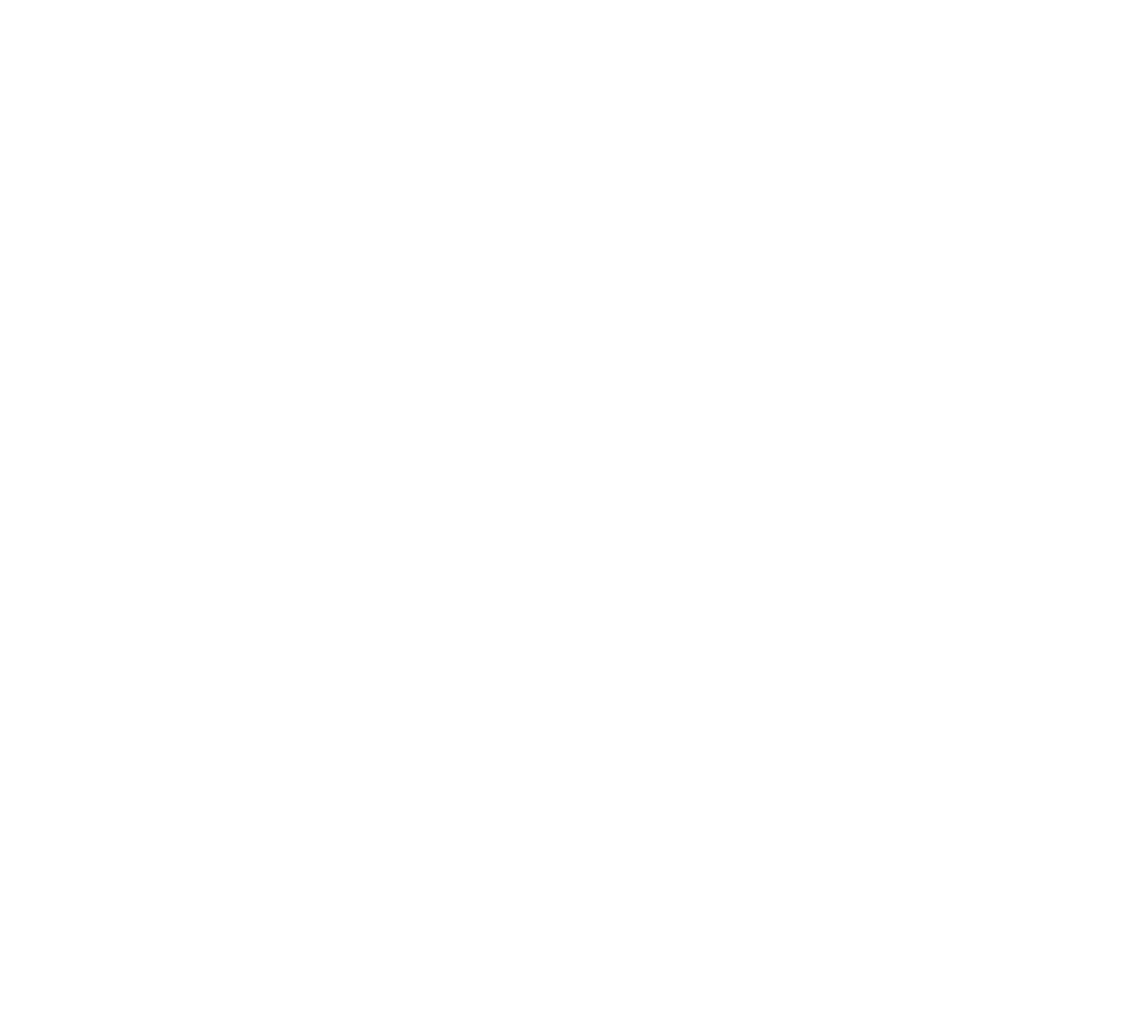 Logo IBI Healthcare Institute