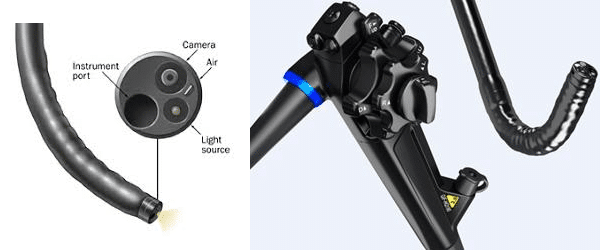 Endoscope Images With Explanations